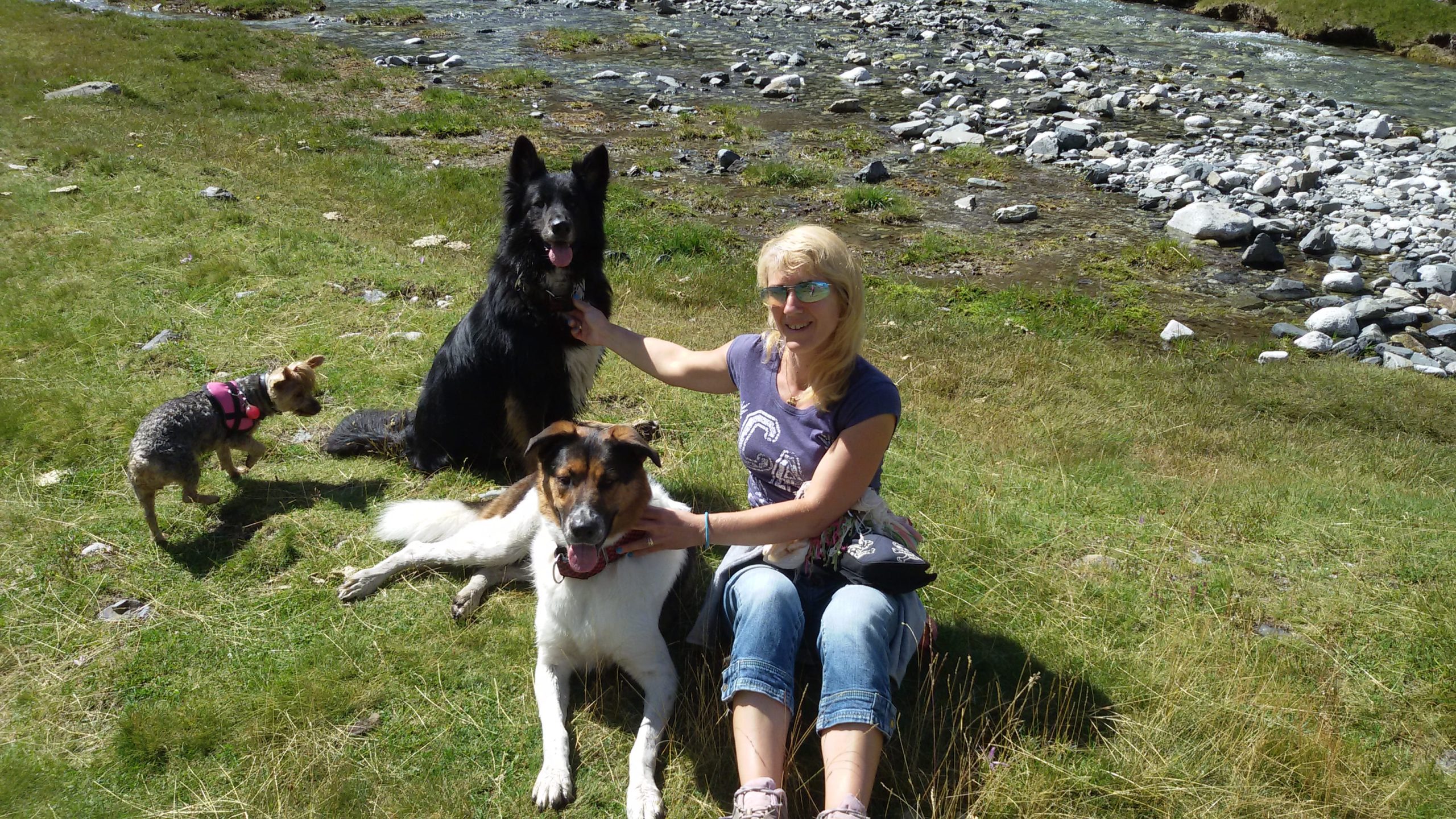 Mujer sentada en la hierba junto a tres perros de diferentes tamaños, uno pequeño con arnés rosa, otro mediano tumbado y un perro grande negro sentado. El grupo está en un paisaje natural con