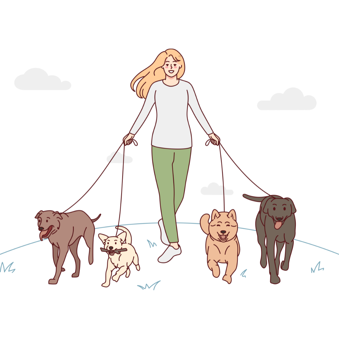 mujer joven paseando cuatro perros de diferentes tamaños y colores con correas. Los perros parecen contentos, caminando al aire libre en un entorno sencillo con nubes y césped