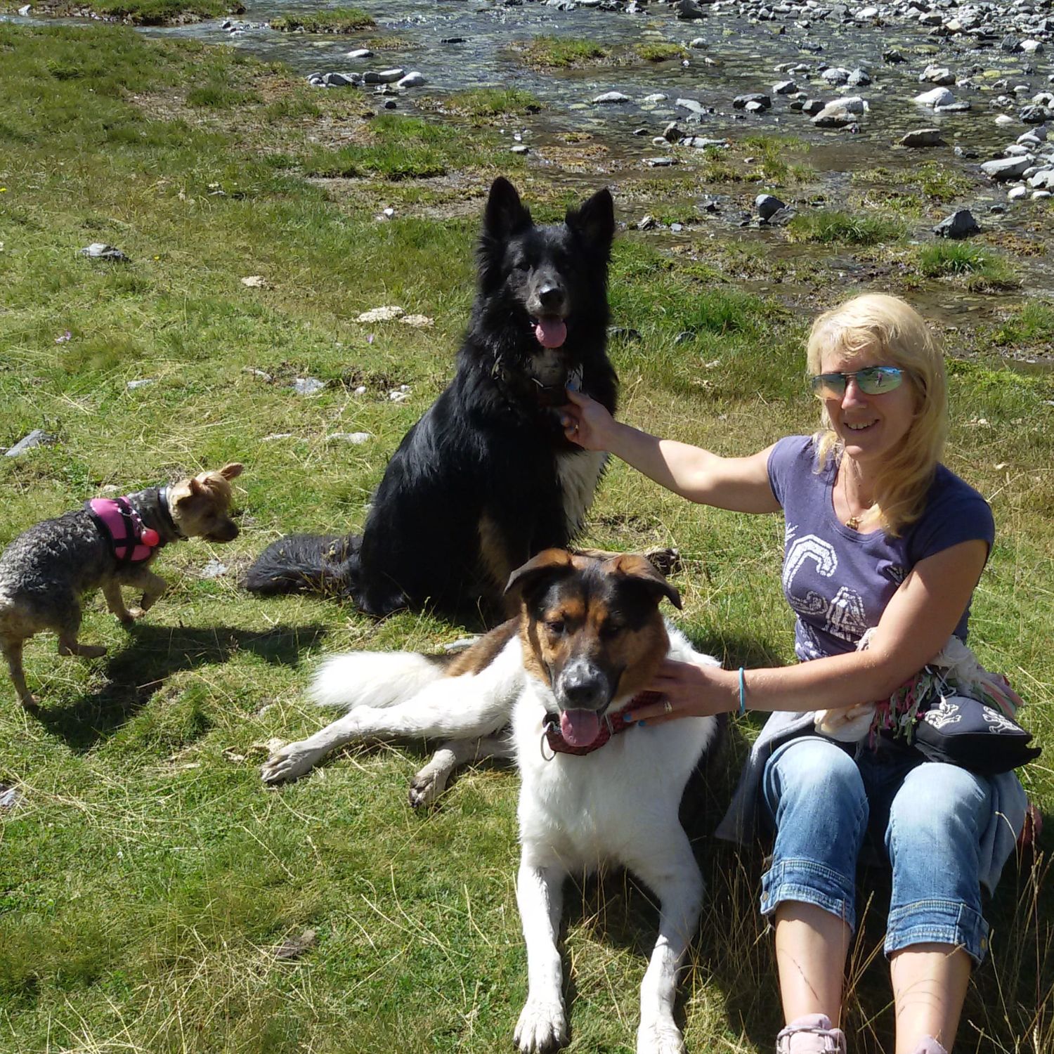 Mujer sentada en la hierba junto a tres perros de diferentes tamaños, uno pequeño con arnés rosa, otro mediano tumbado y un perro grande negro sentado. El grupo está en un paisaje natural con 2